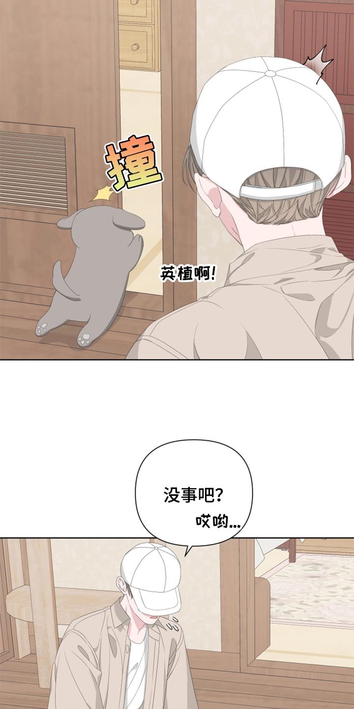 第73章：【第二季】四条腿的金英才