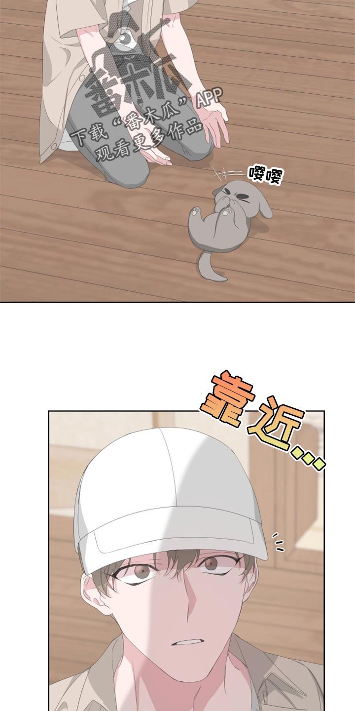 第73章：【第二季】四条腿的金英才