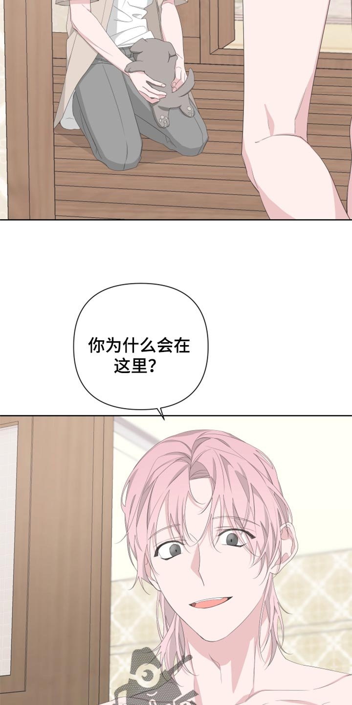第73章：【第二季】四条腿的金英才