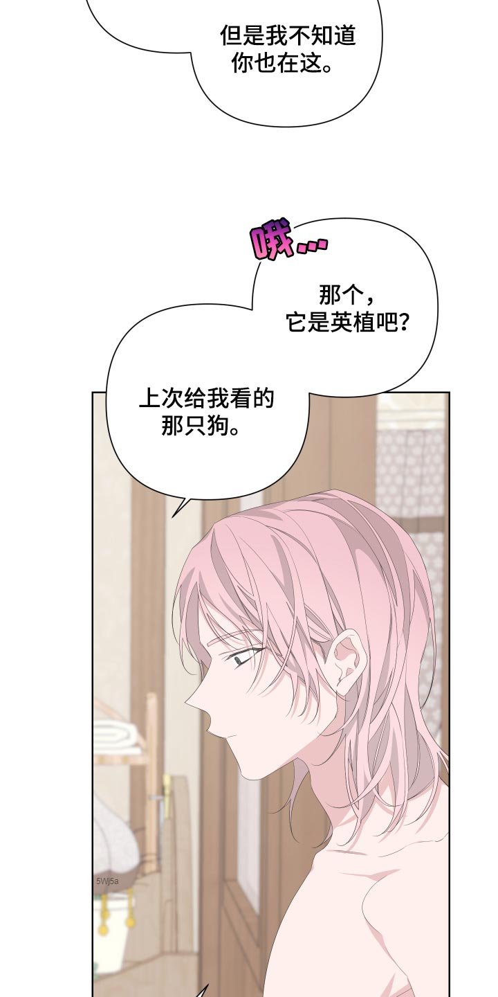 第74章：【第二季】是朋友