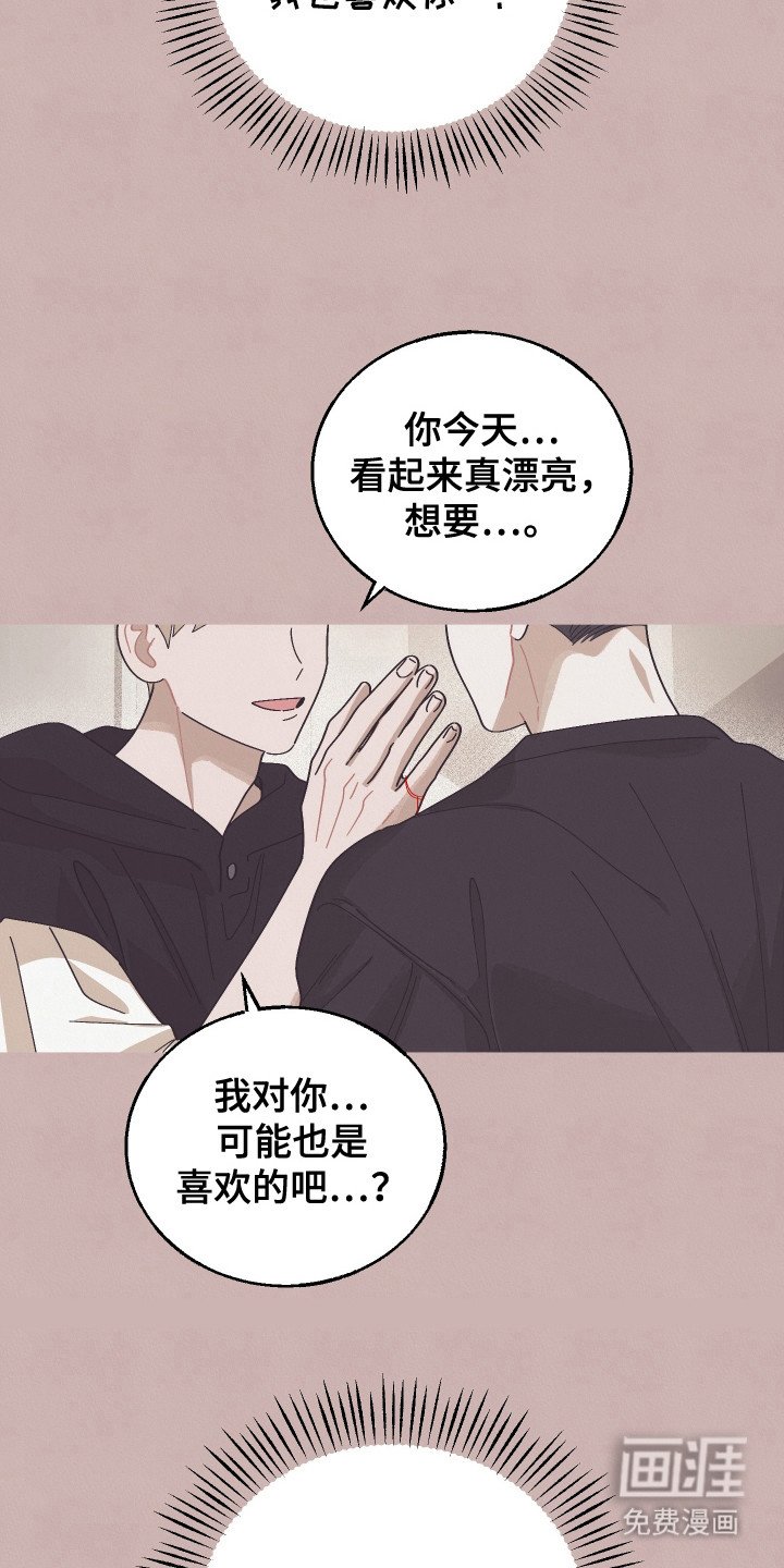 第15章：欺骗计划
