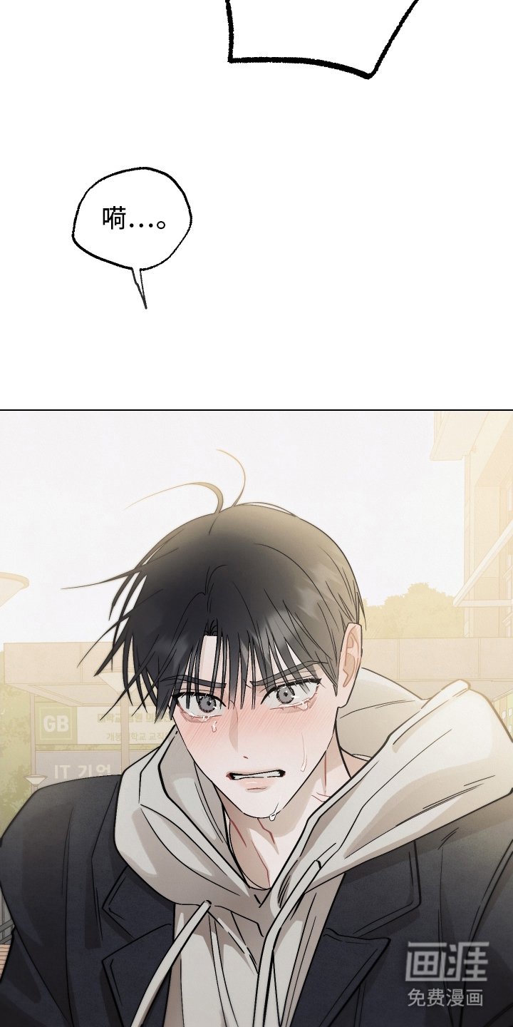 第20章：傻瓜
