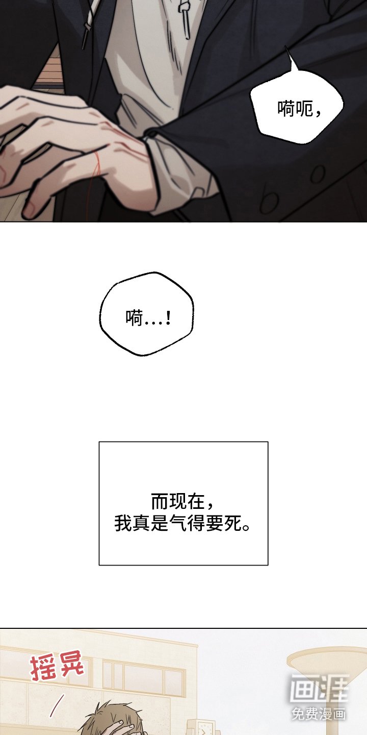 第20章：傻瓜