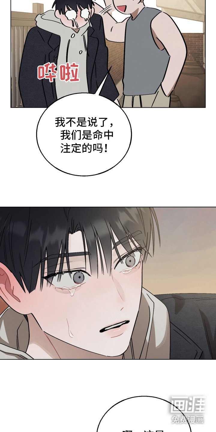 第21章：心意