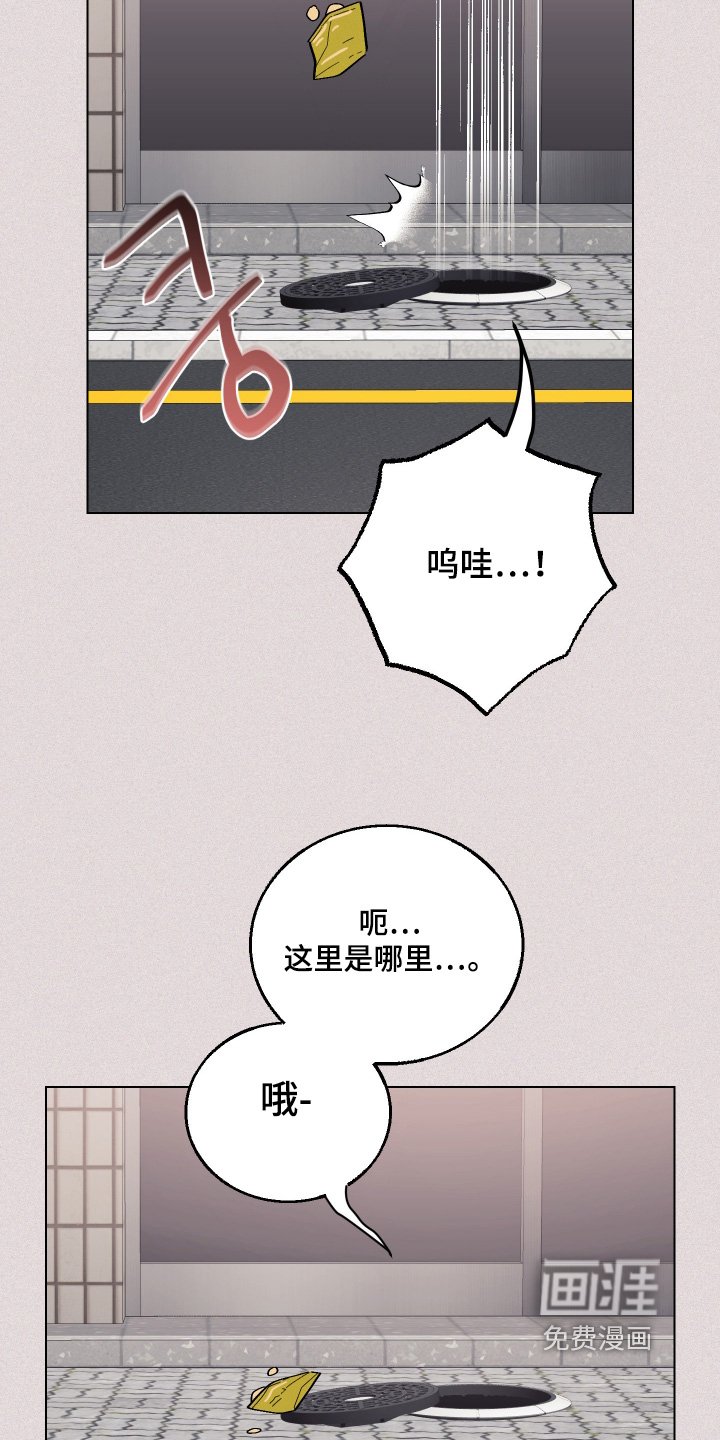 第26章：该死的乌鸦