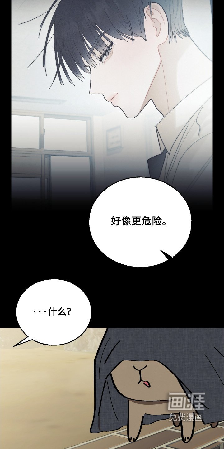 第29章：我该怎么做