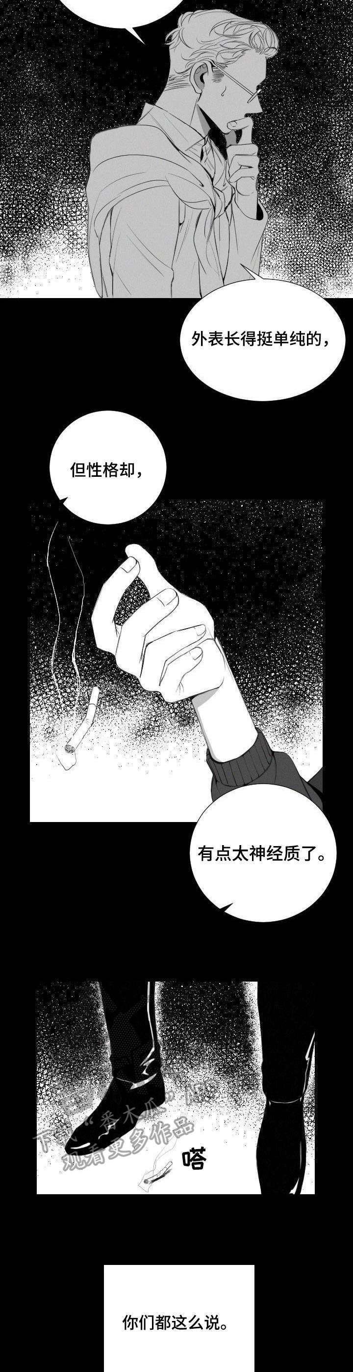 第13章：决心