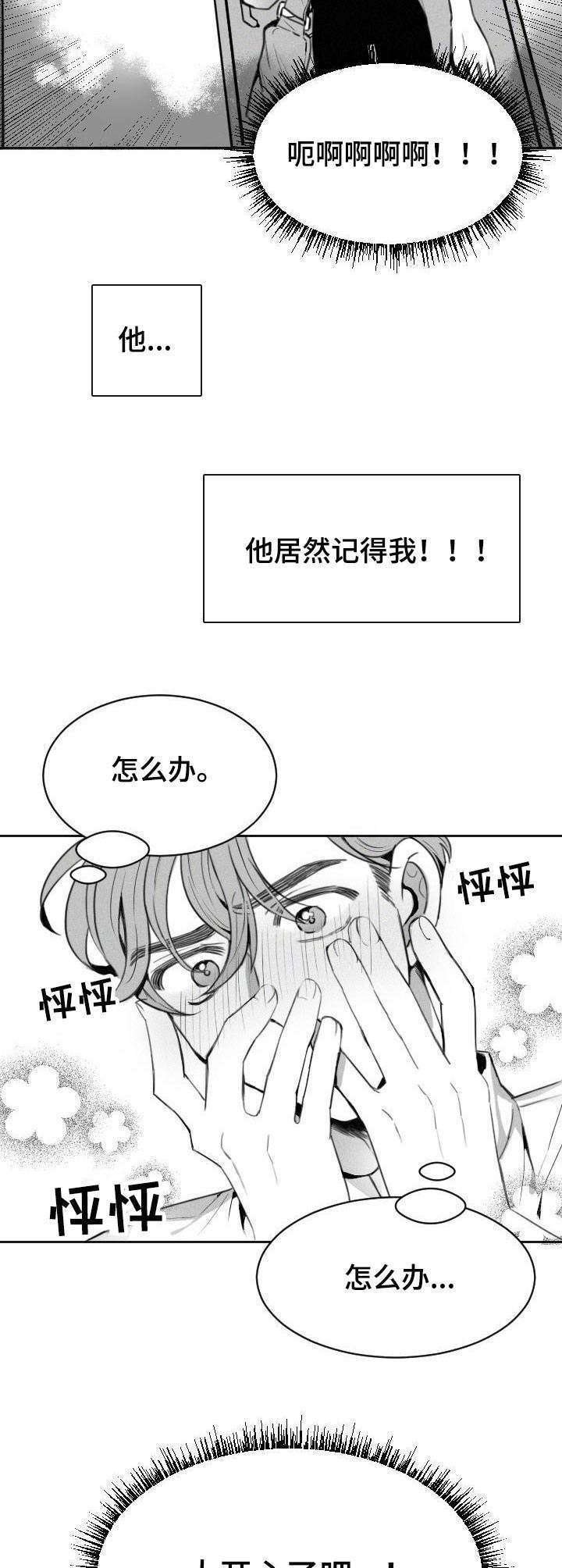 第2章：一见钟情