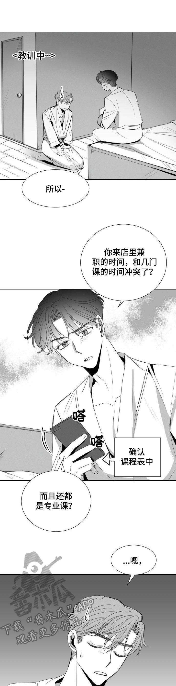 第29章：分歧