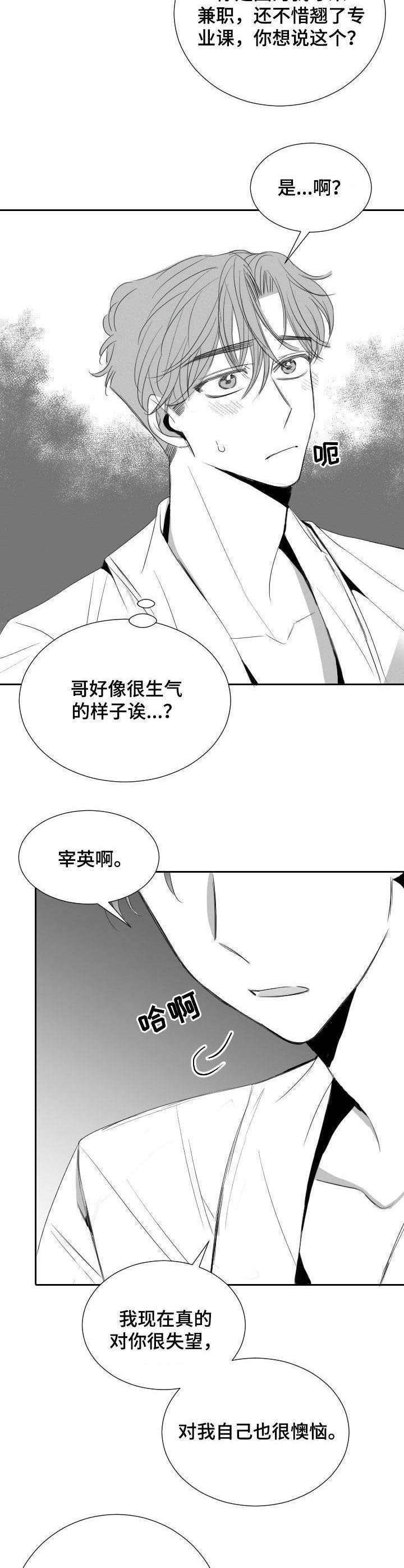 第29章：分歧