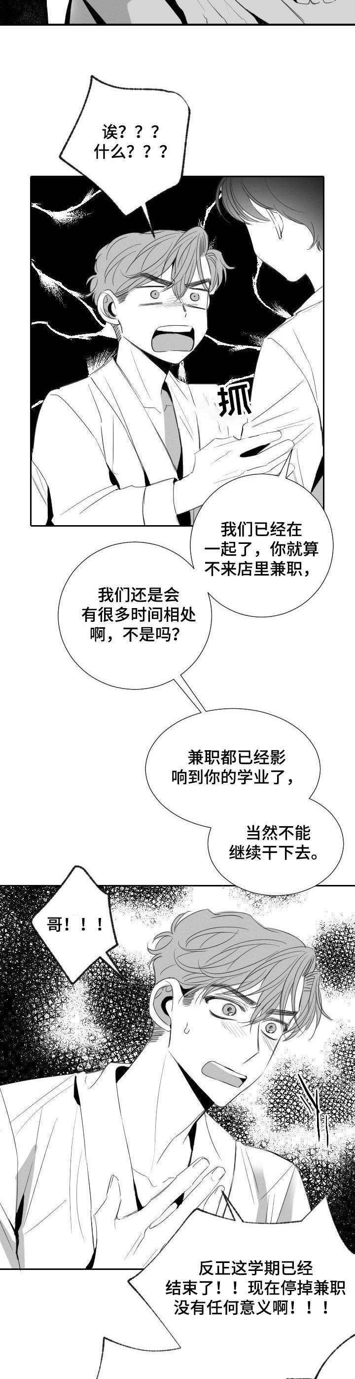 第29章：分歧