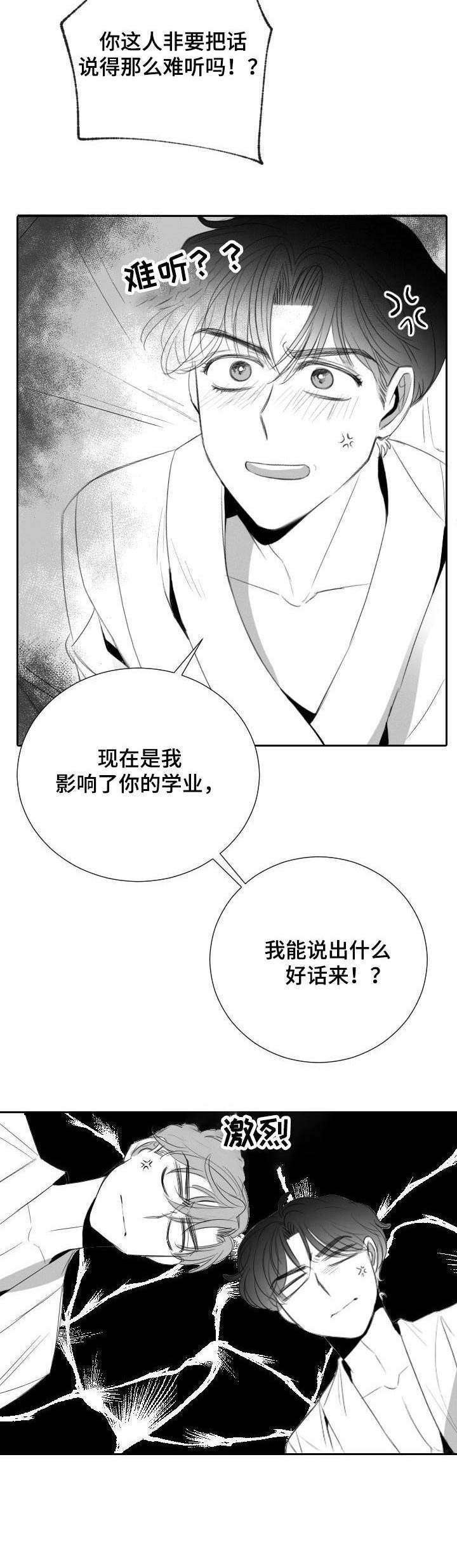 第29章：分歧