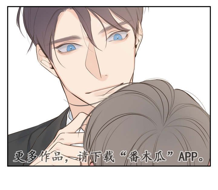 第11章：他的看法