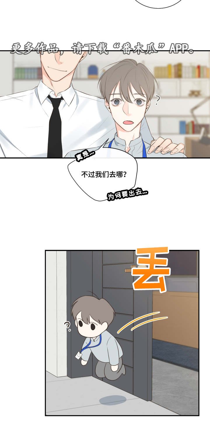第13章：穿插