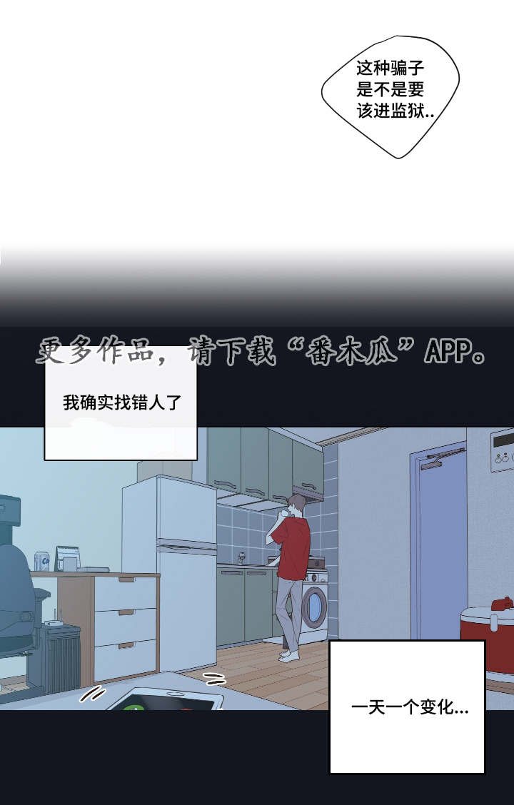 第13章：穿插