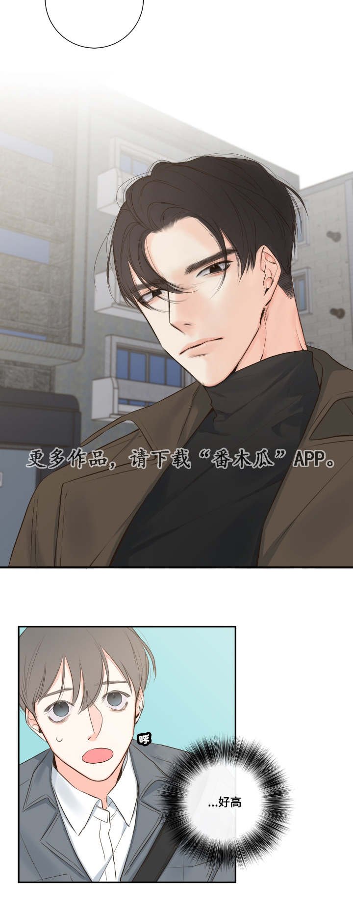第13章：穿插