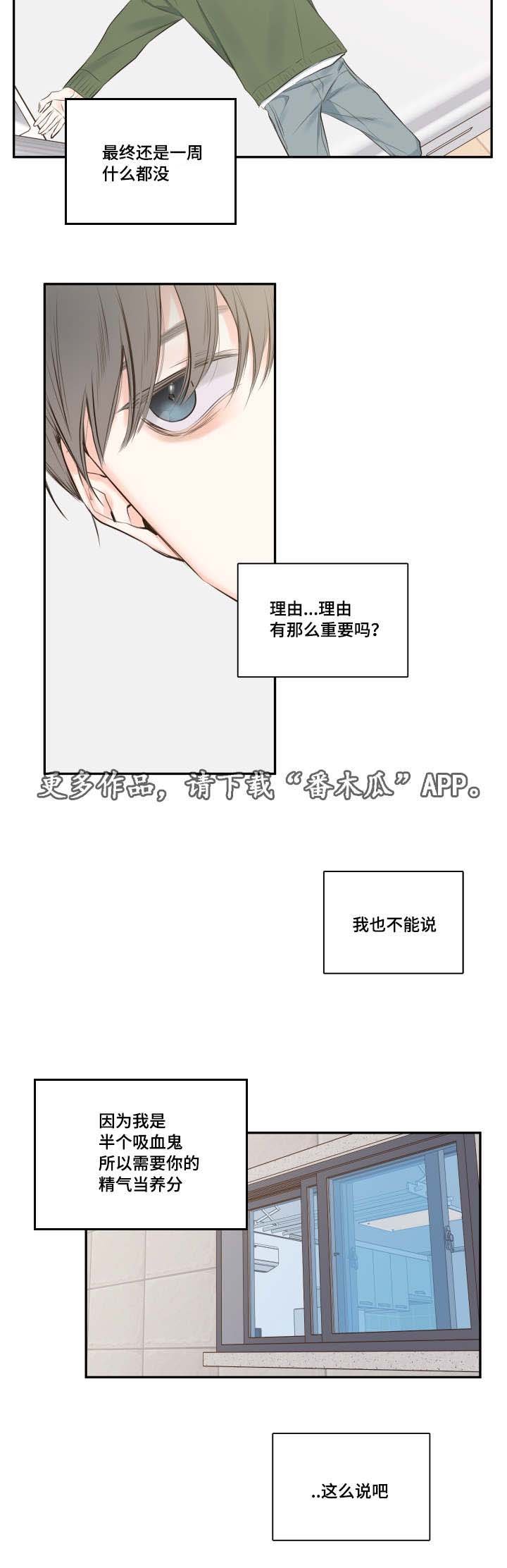 第14章：依旧未能如愿