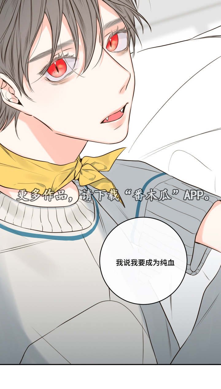 第27章：复苏的吸血鬼之血