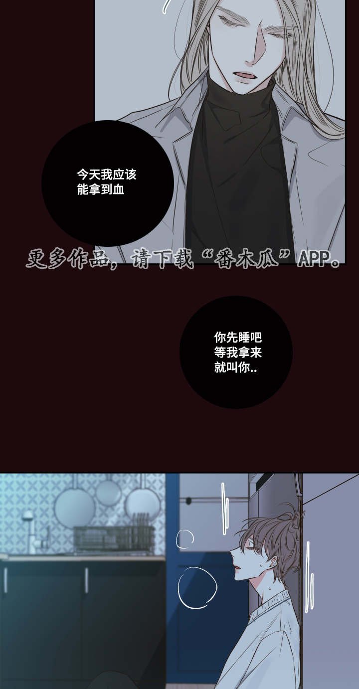 第28章：总裁