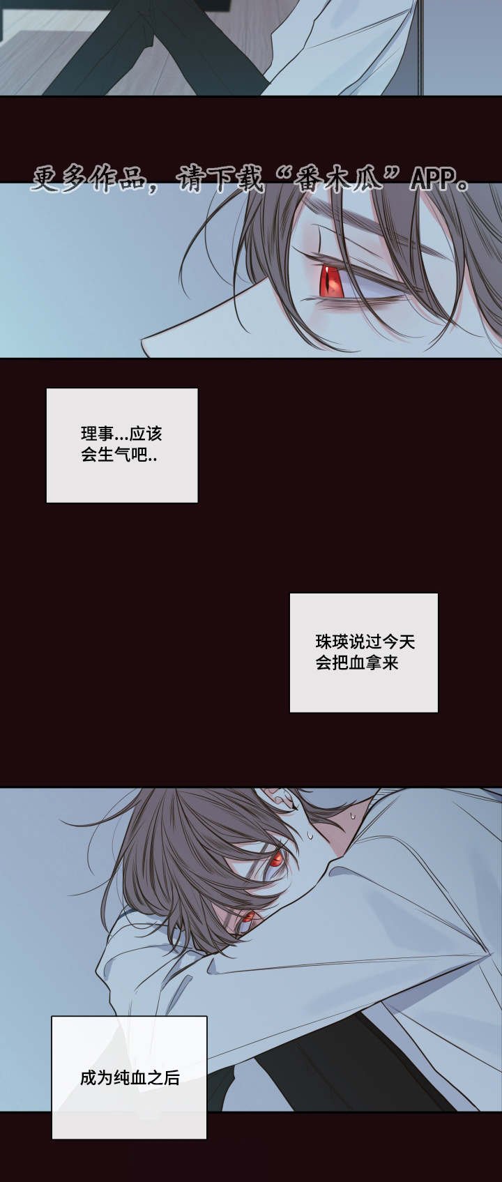 第28章：总裁