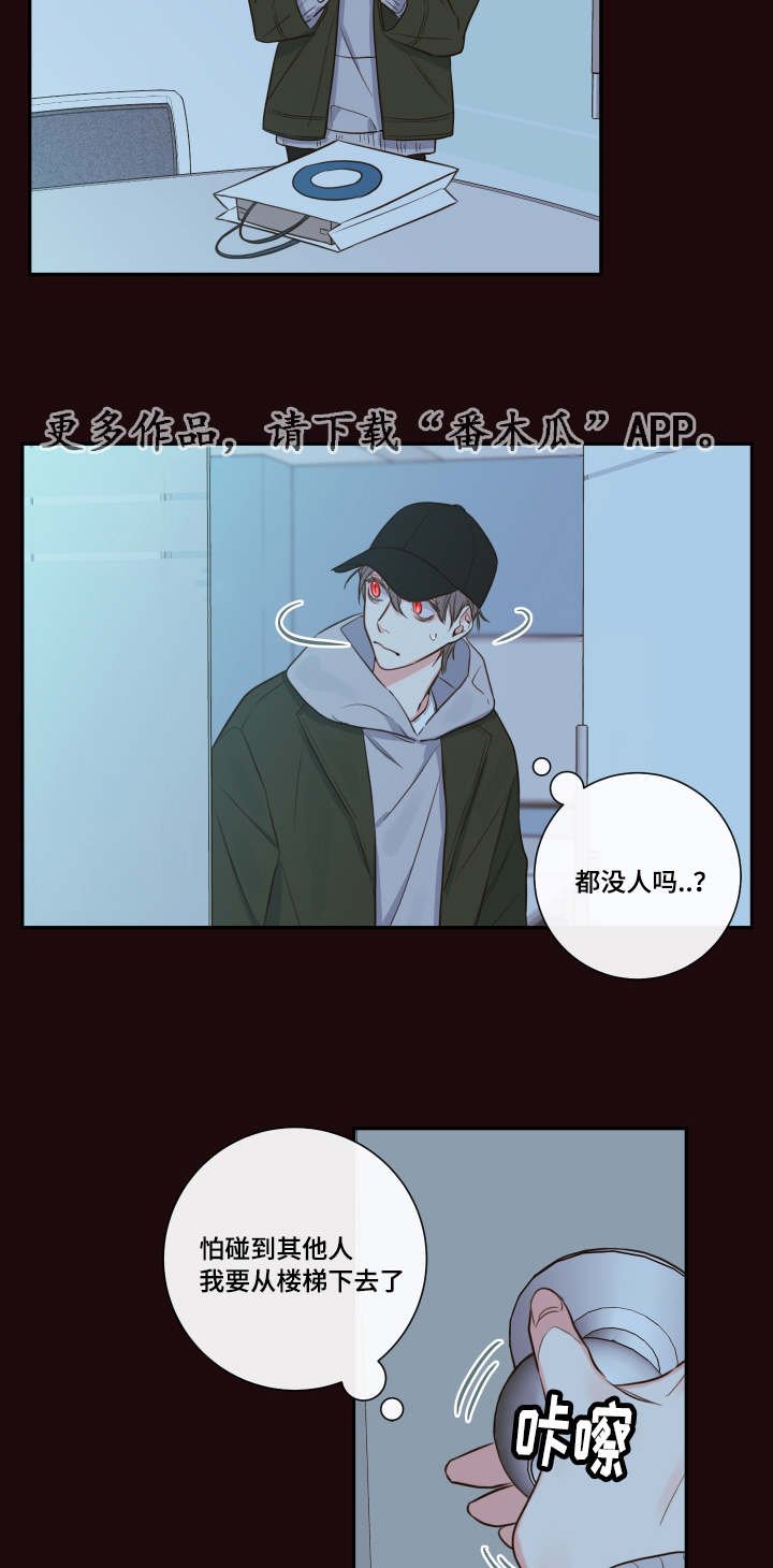 第28章：总裁