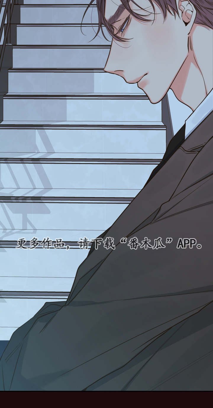 第28章：总裁