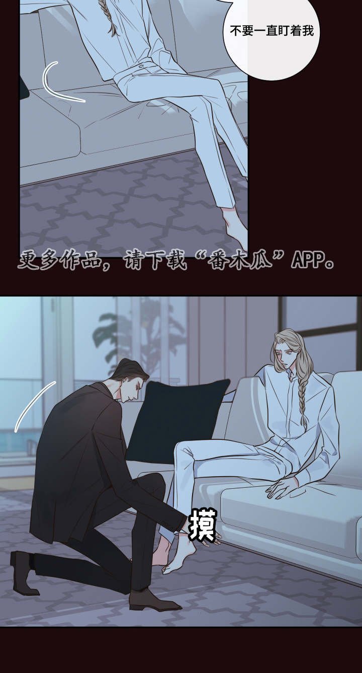 第31章：寻找