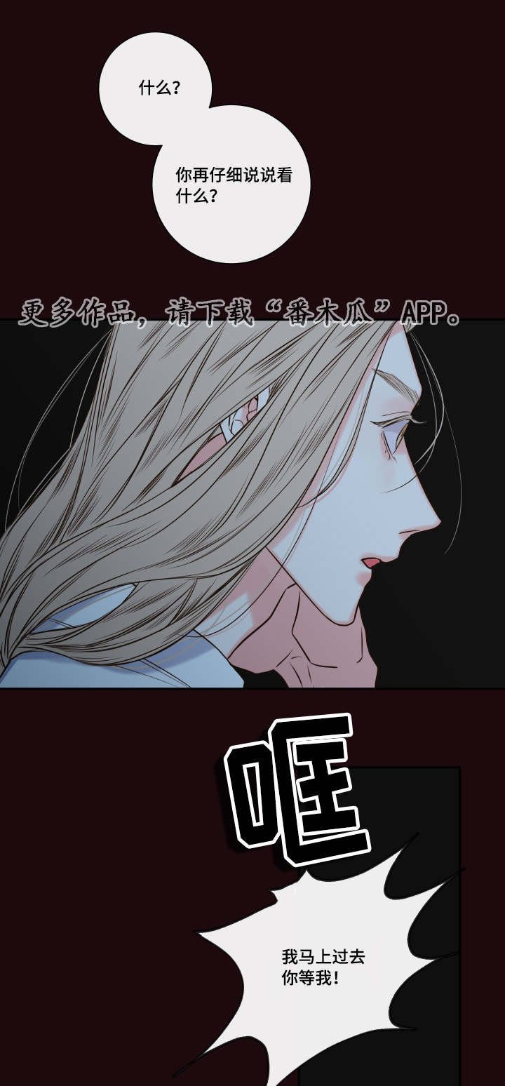 第31章：寻找