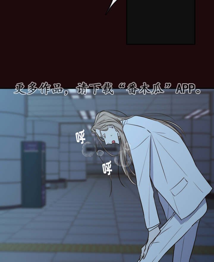第31章：寻找