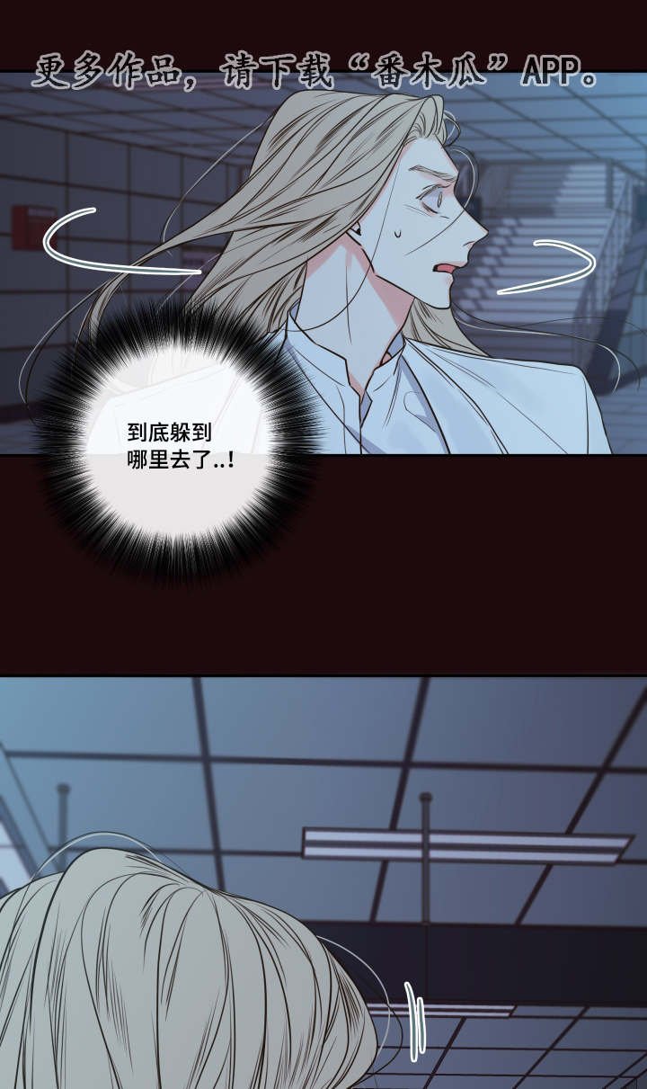 第31章：寻找