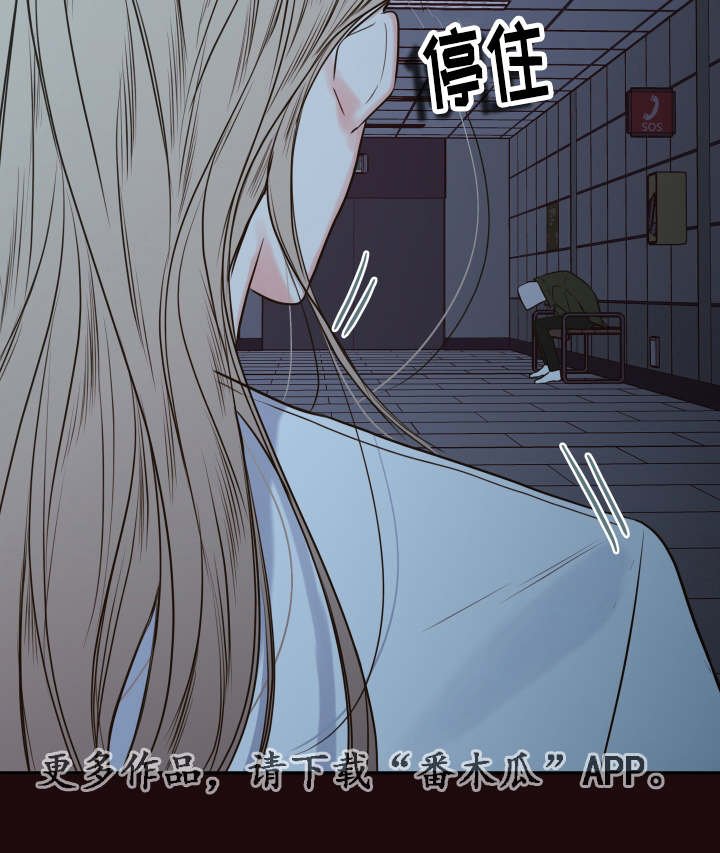 第31章：寻找
