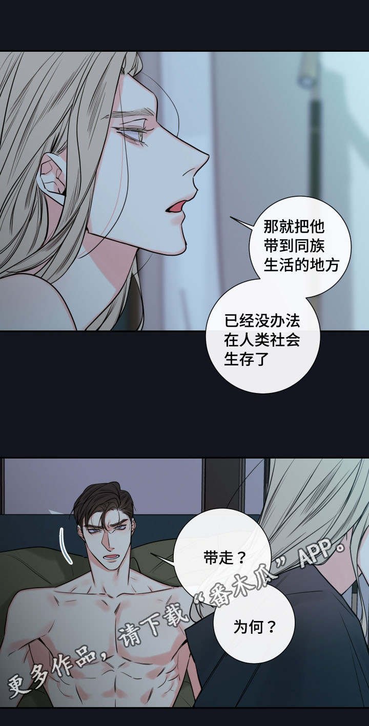 第37章：确认现状