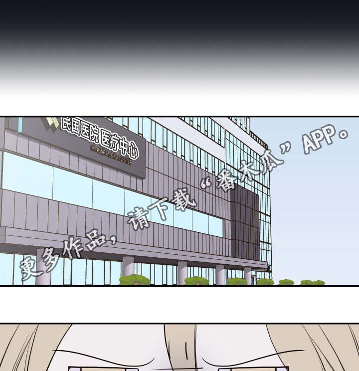 第37章：确认现状