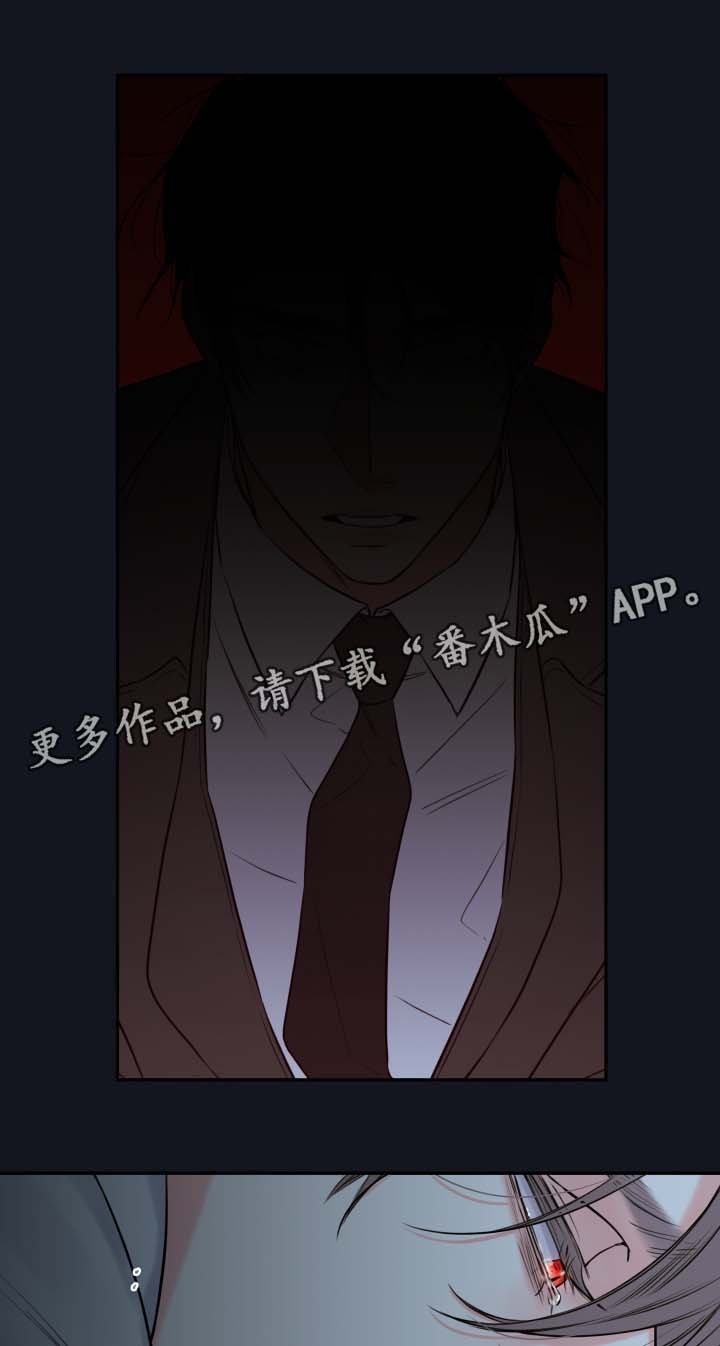 第39章：寻找
