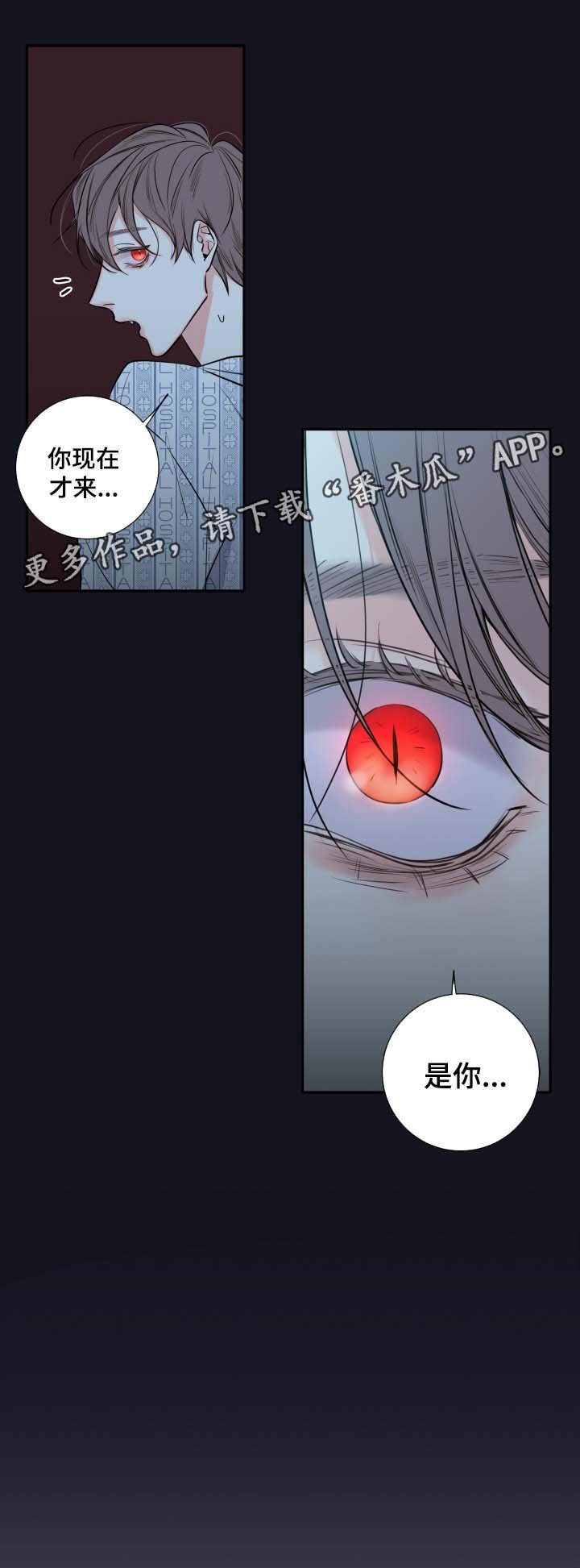 第40章：废弃医院