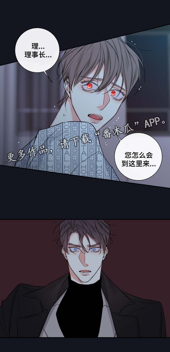 第41章：必须找到你
