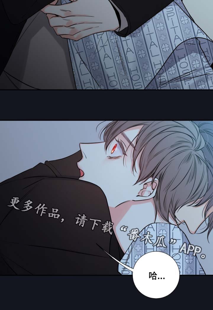第41章：必须找到你