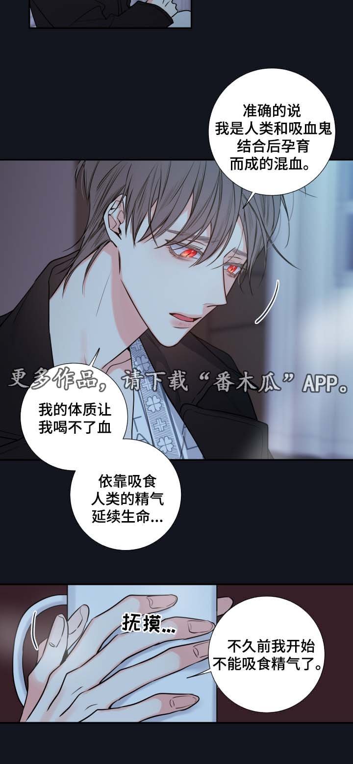 第43章：解释