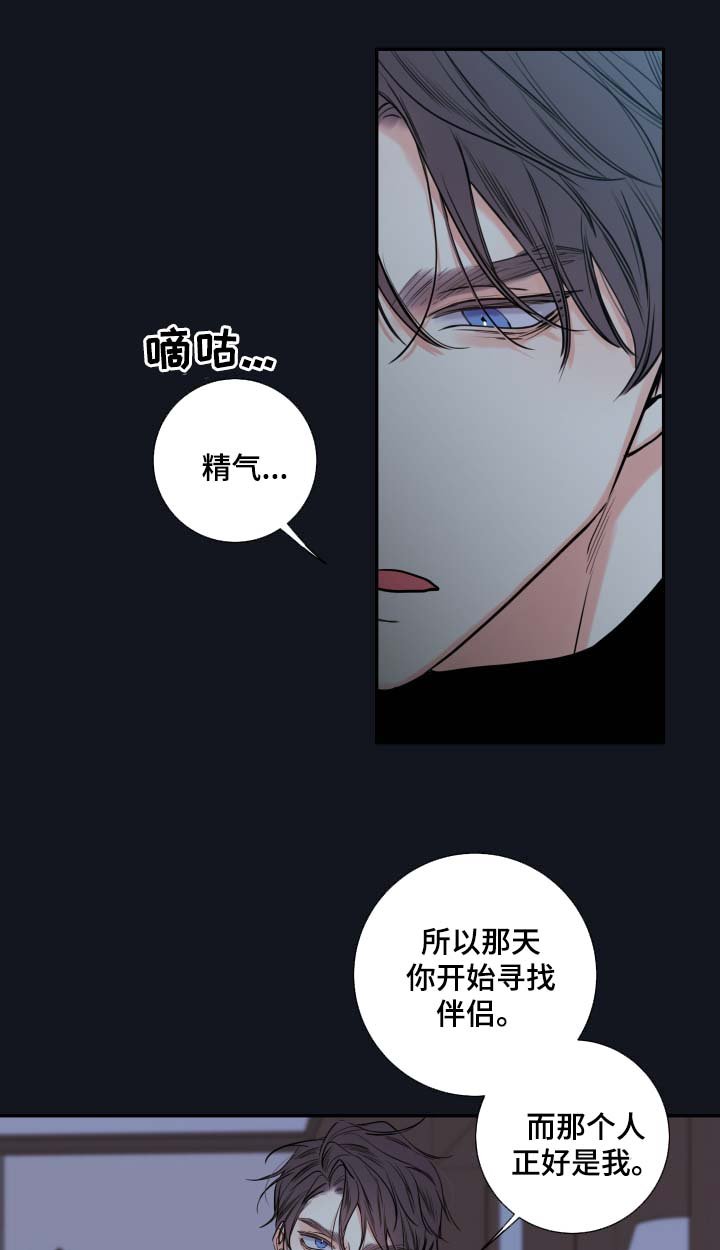 第43章：解释