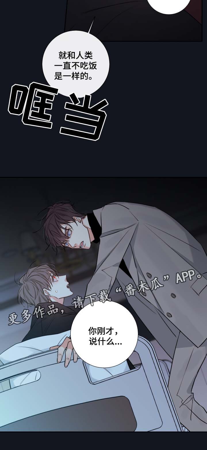 第43章：解释