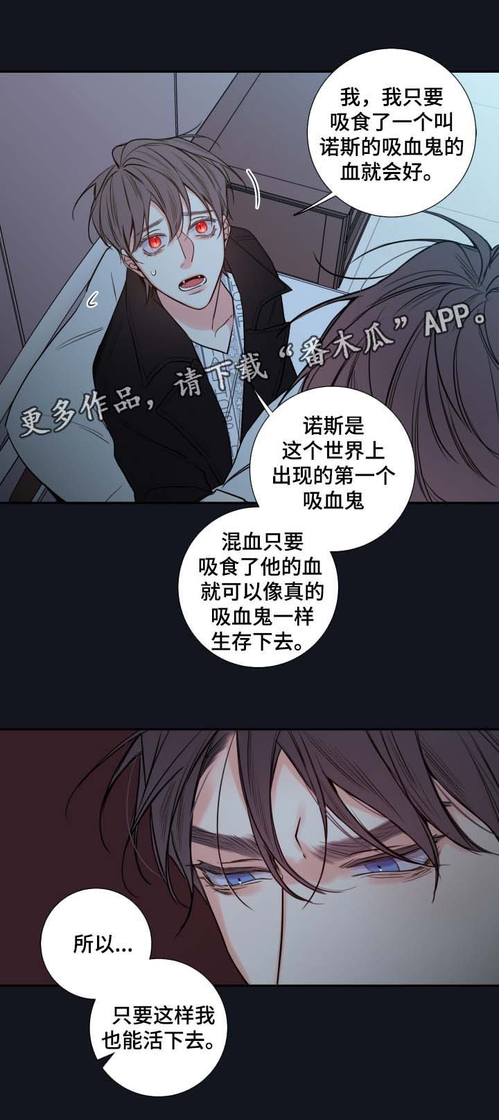 第43章：解释