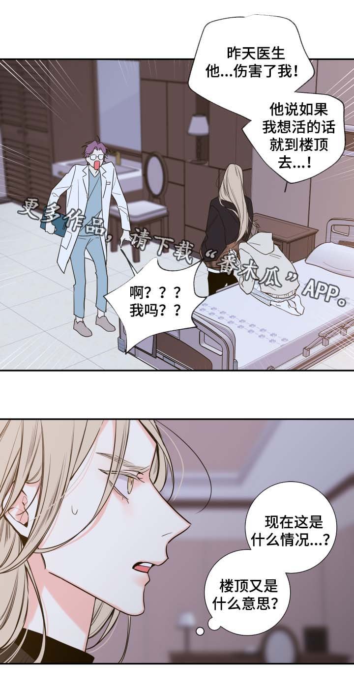 第48章：一模一样的人