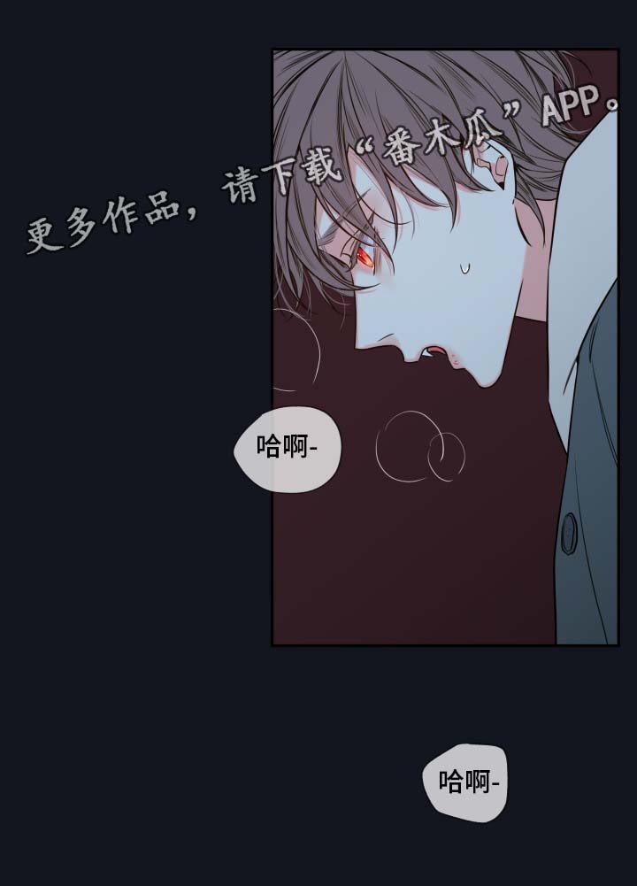 第48章：一模一样的人