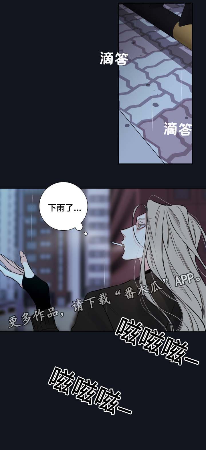 第48章：一模一样的人
