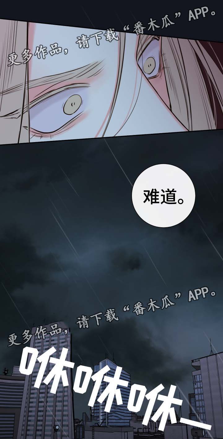 第48章：一模一样的人
