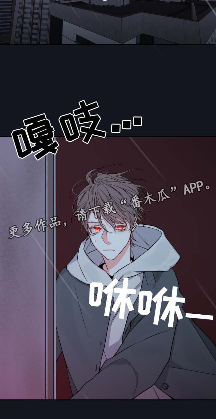 第48章：一模一样的人