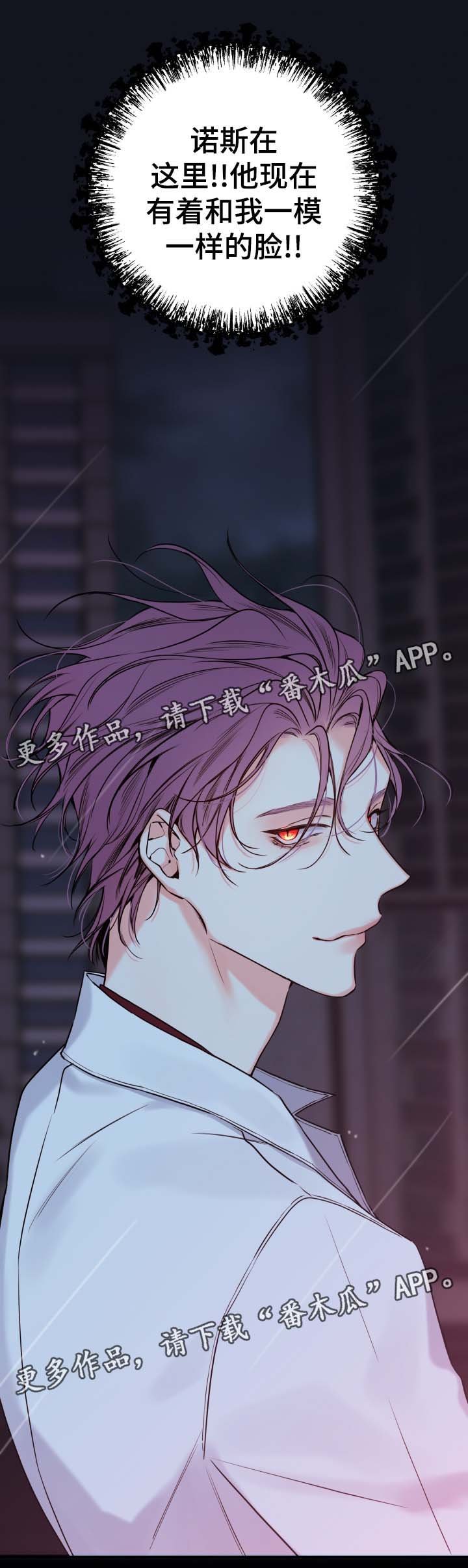 第48章：一模一样的人