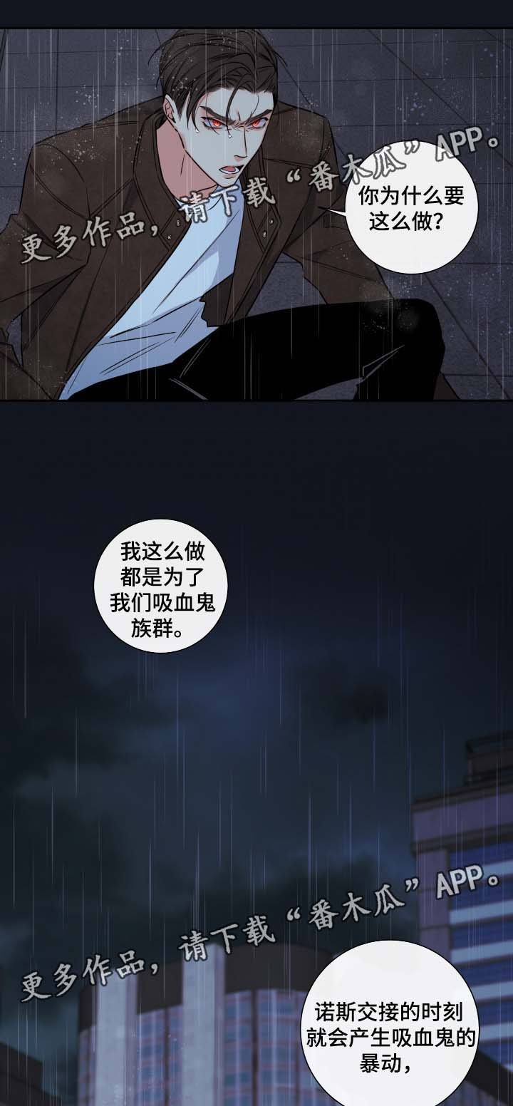 第53章：都结束了