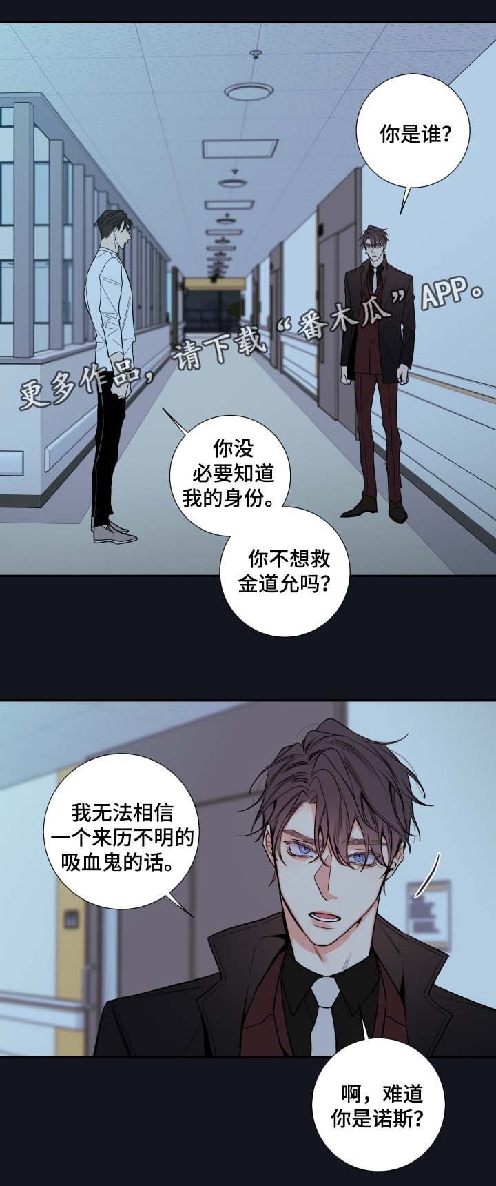 第55章：赌一把