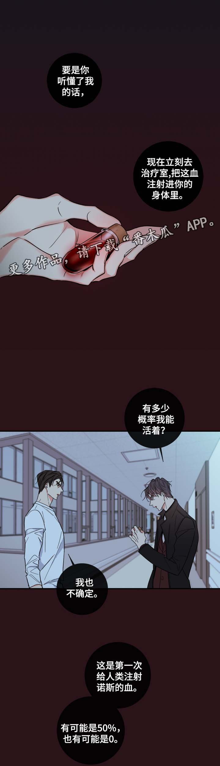第55章：赌一把